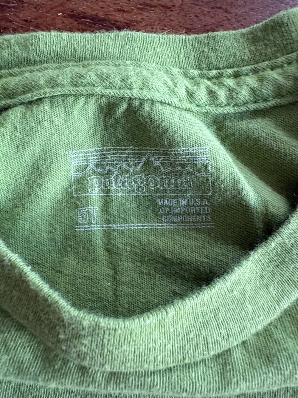 Patagonia- Green Kids Tee with Guitar 